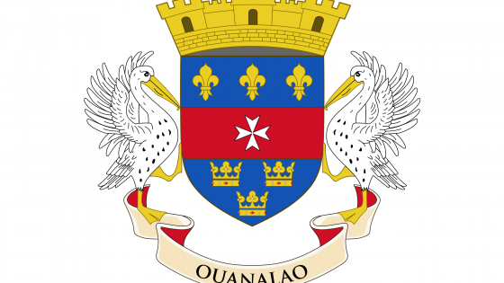 Flag_of_Saint_Barthélemy