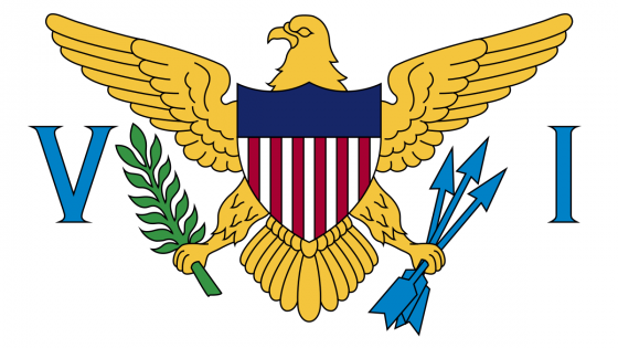 United States Virgin Islands flag